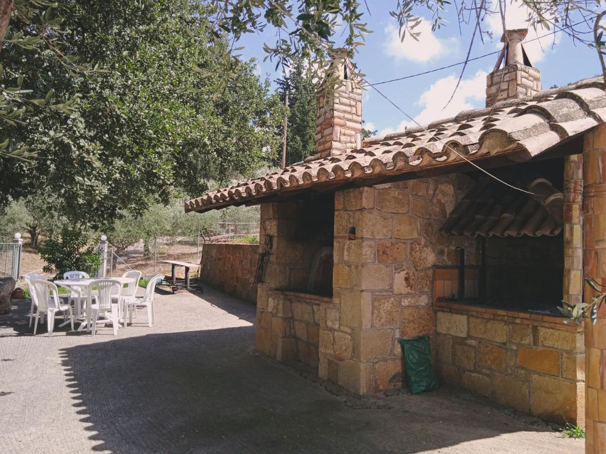 הוילה אולימפיה Olympia House מראה חיצוני תמונה