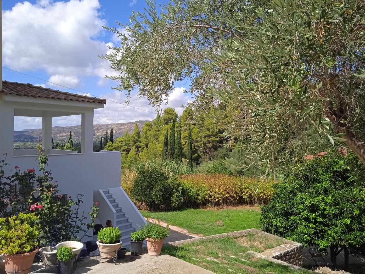 הוילה אולימפיה Olympia House מראה חיצוני תמונה